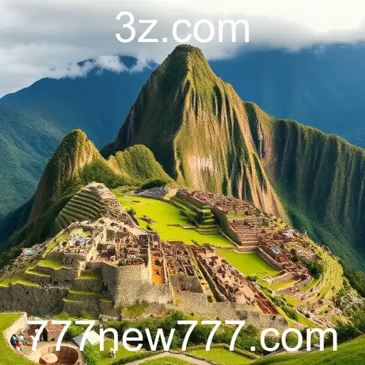NEW777